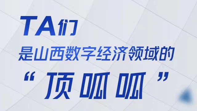 ta们，是山西数字经济领域的“顶呱呱”