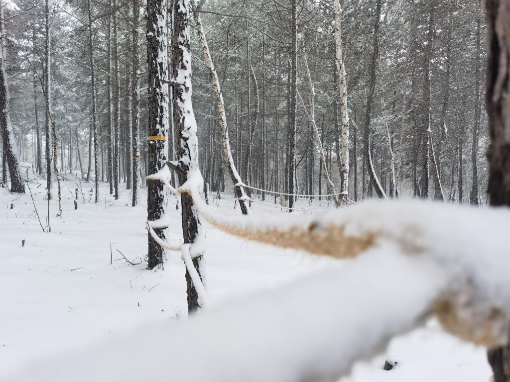 春雪浸润吕梁山