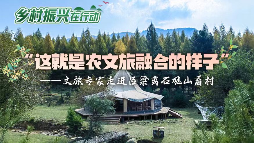 “这就是农文旅融合的样子”——文旅专家走进吕梁离石观山看村