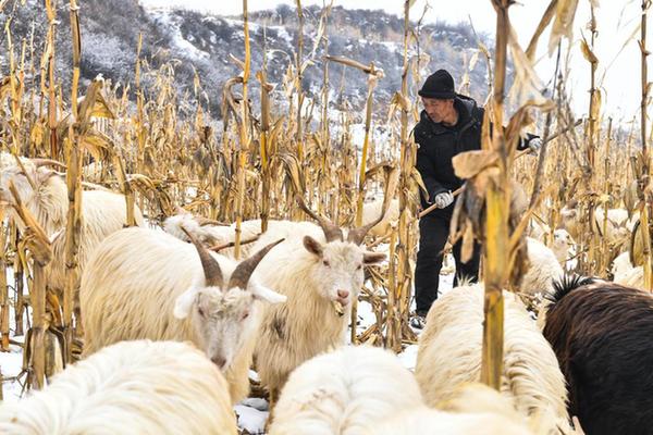 吕梁山村：抓产业、促增收、固成果