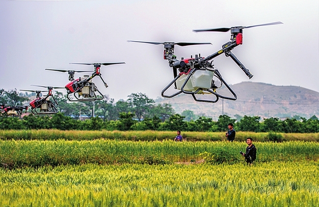 运城2022年小麦种植面积423.2万亩