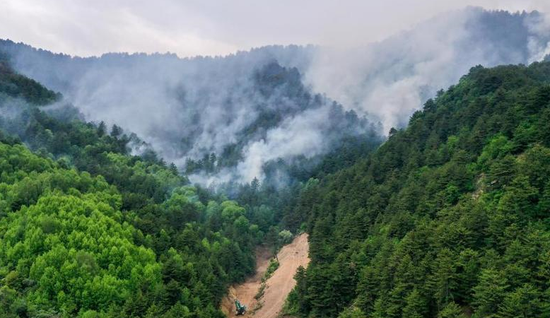 山西黑茶山山火明火基本扑灭