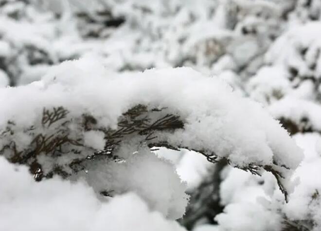 本周山西雨雪降温齐登场