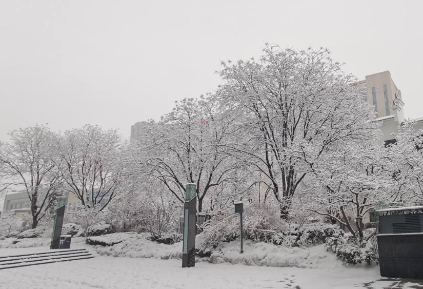 太原市启动暴雪ⅳ级应急响应