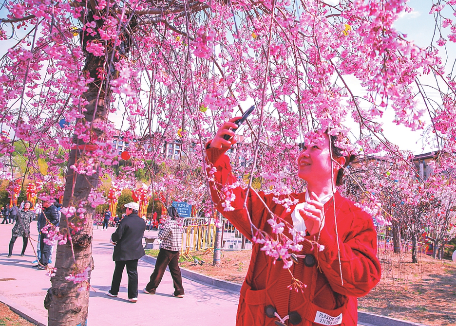 山西中部城市群赏花季启动 请收好这份赏花线路图